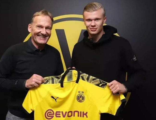 并在再保险 并在再保险